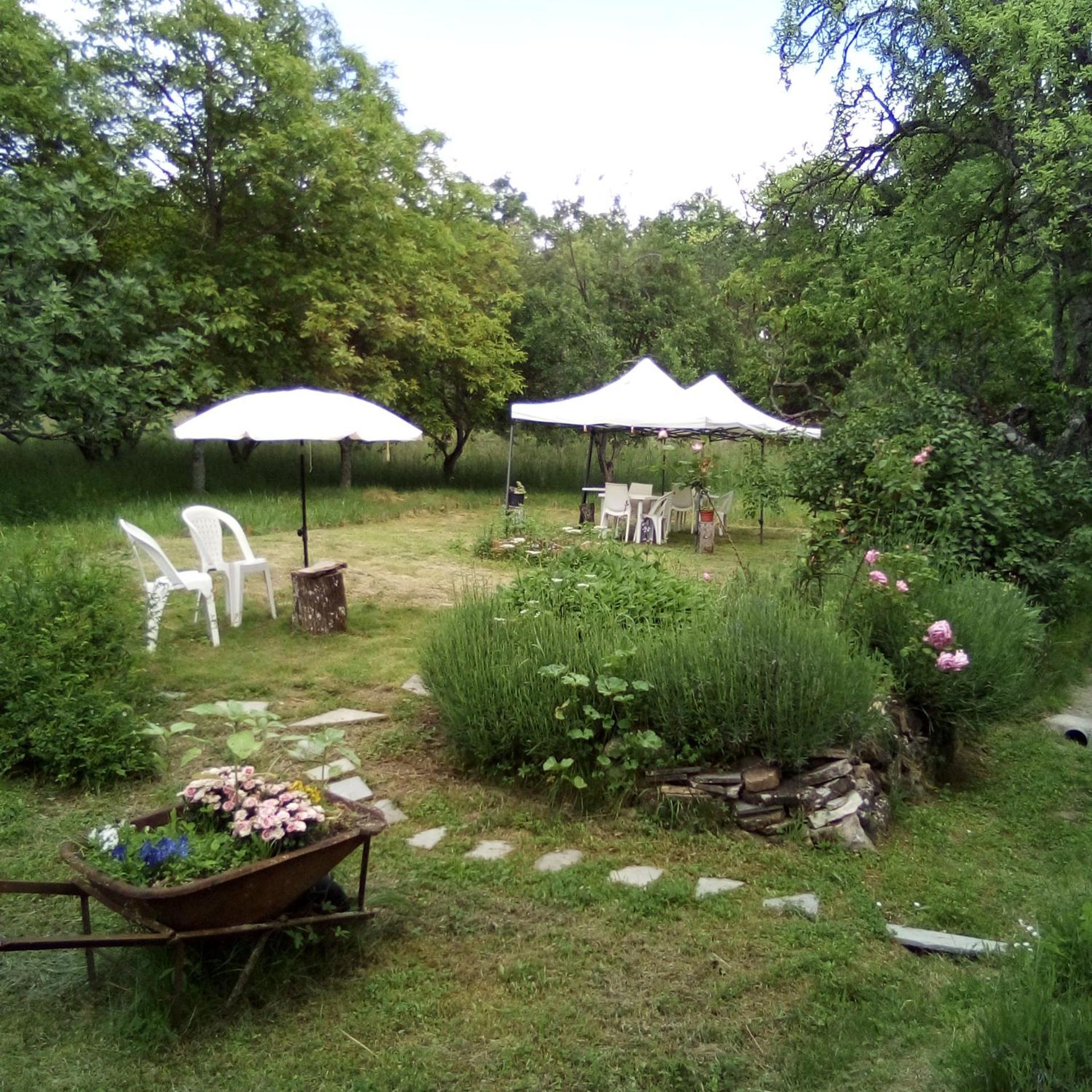 Casa Del Gigi Bnb Albareto  Екстер'єр фото